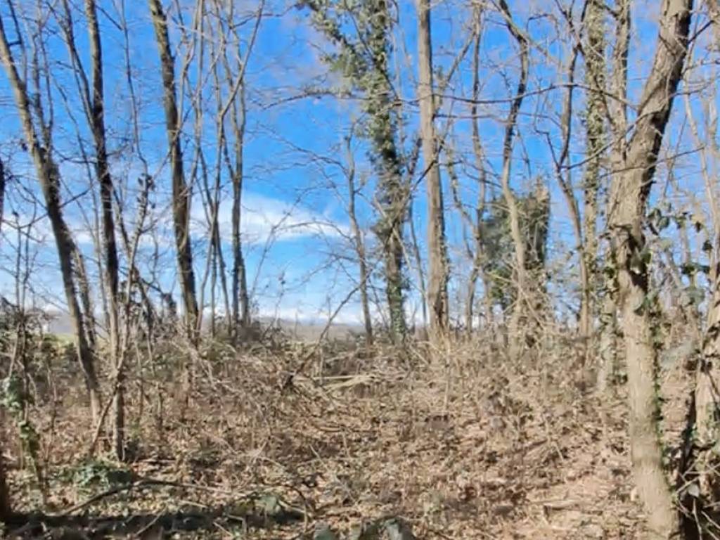 Terreno a Cairate - Foto 5