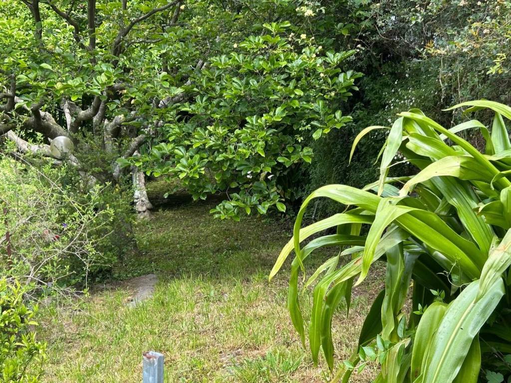 Villa a Rapallo in Via Montepegli, 18 - Foto 5