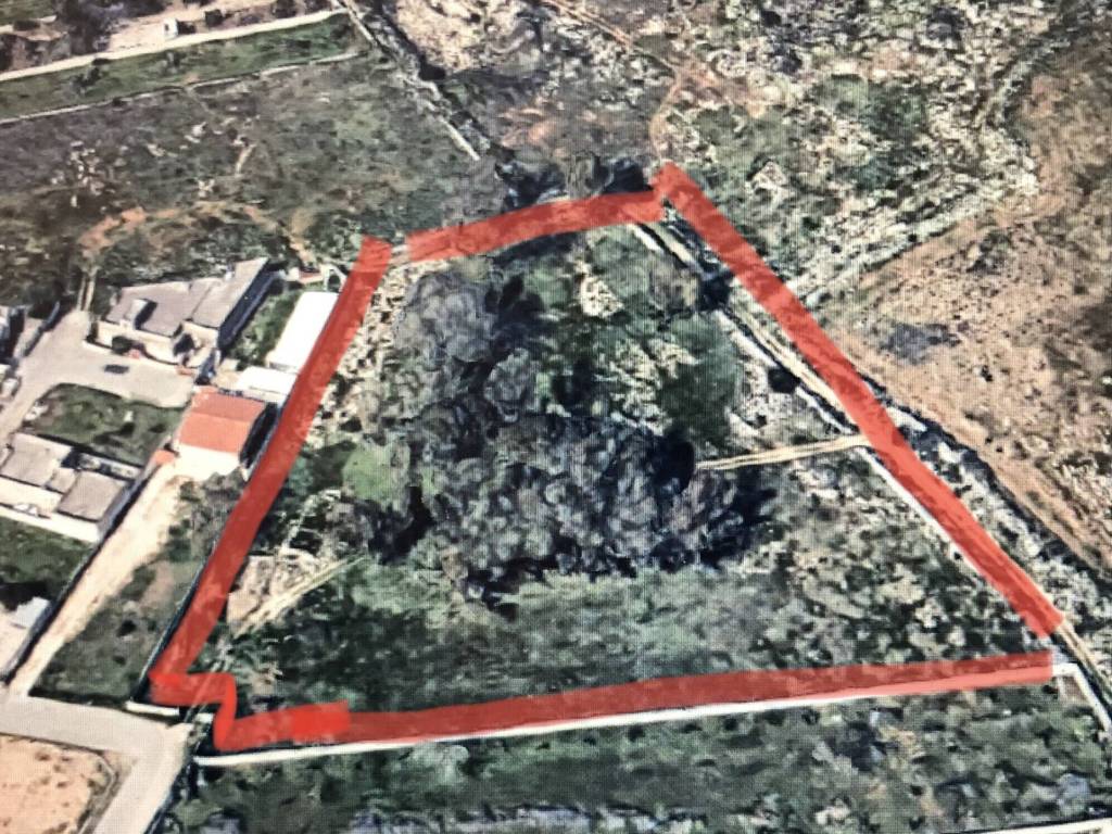 Terreno a Manduria - Foto 3