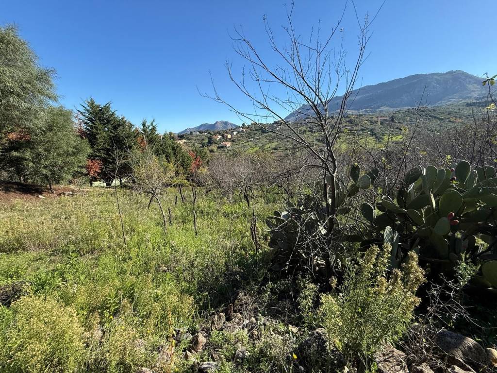 Terreno a Monreale in Via Esterna Strazzasite, 8 - Foto 4
