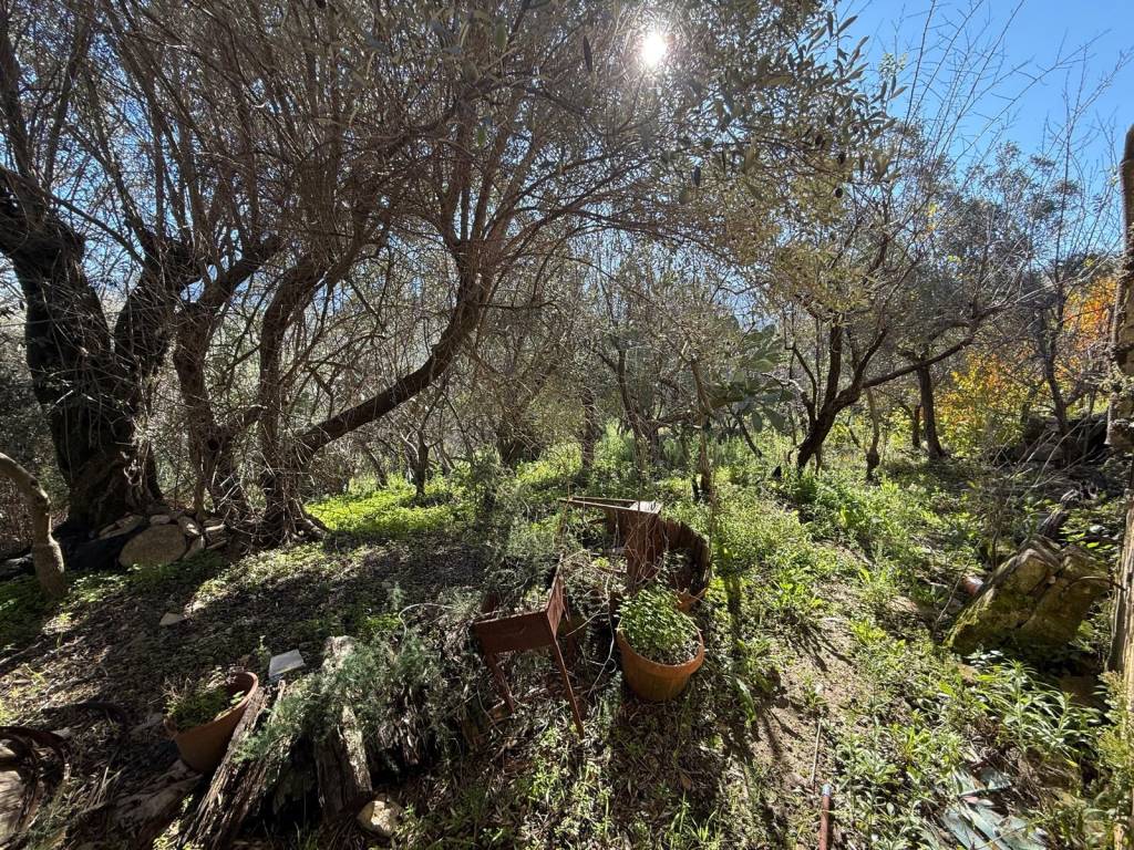 Terreno a Monreale in Via Esterna Strazzasite, 8 - Foto 5