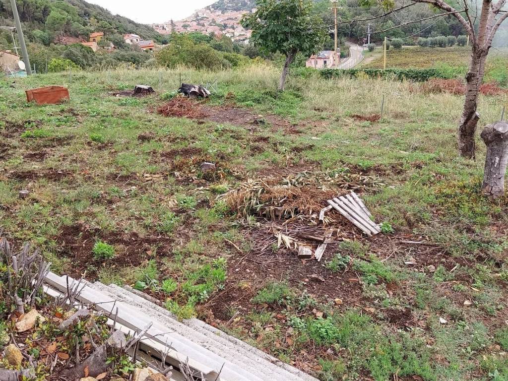 Rustico / casale a Marciana - Foto 4