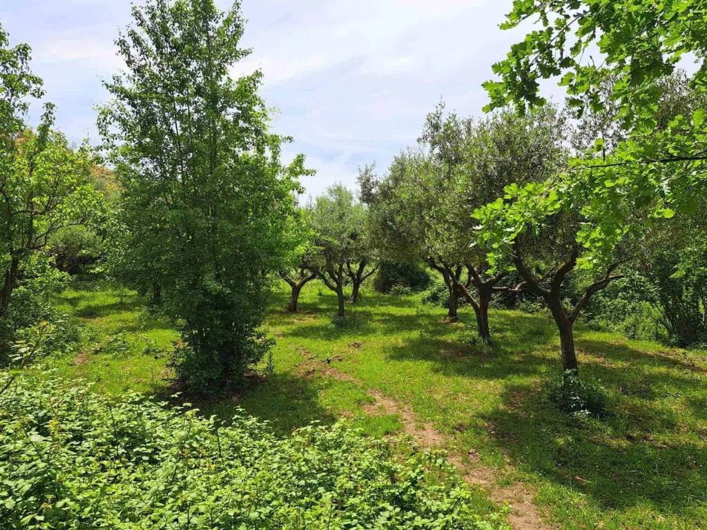 Terreno a Salerno in Via San Elia No Number - Foto 3