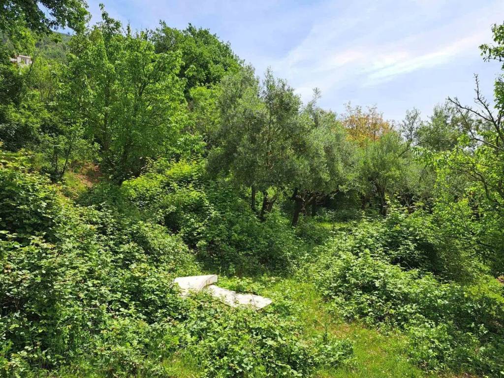 Terreno a Salerno in Via San Elia No Number - Foto 4
