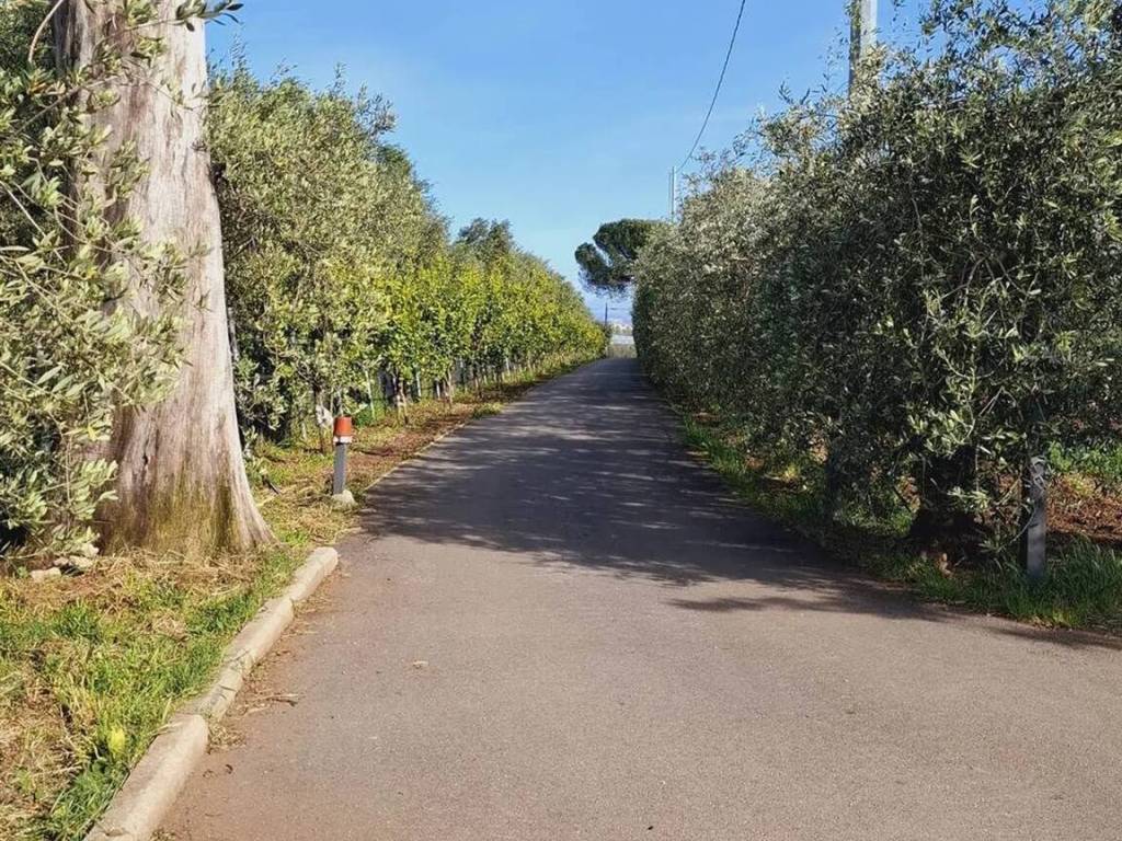 Appartamento a Montecorvino pugliano - Foto 2