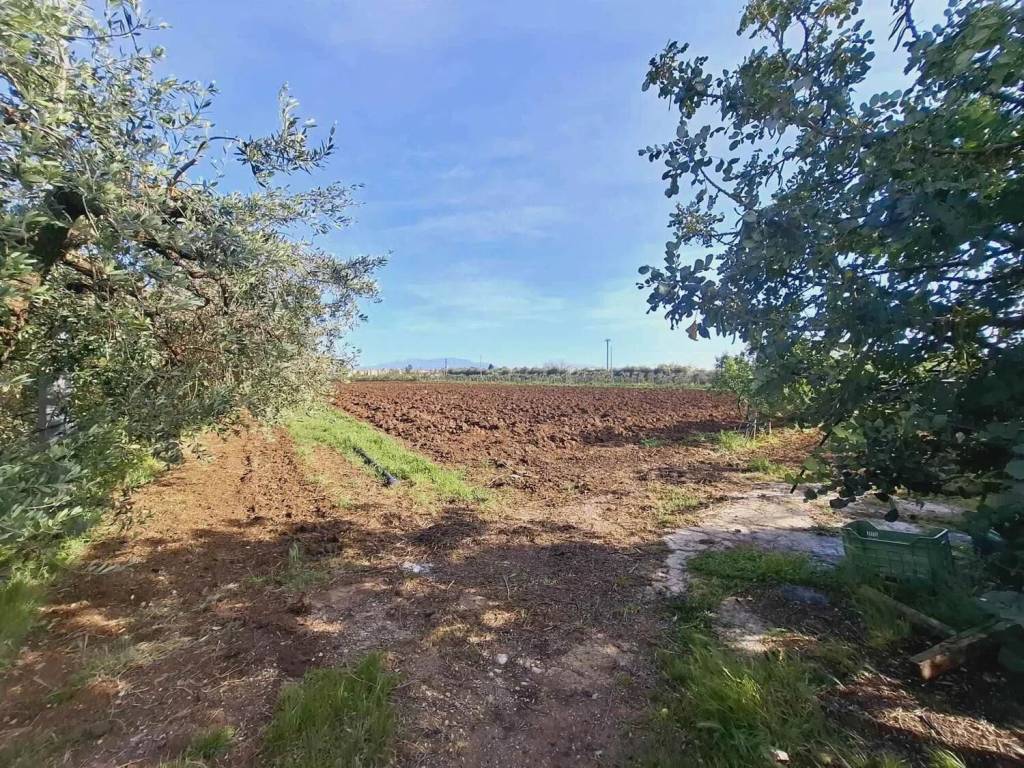 Appartamento a Montecorvino pugliano - Foto 3