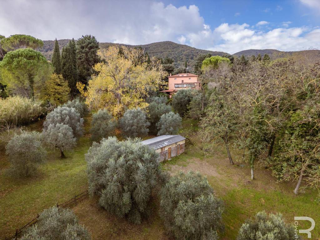 Villa a Collesalvetti in Via Emo Mannucci - Foto 3