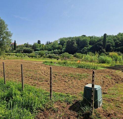 Terreno a Casciana terme lari - Foto 2