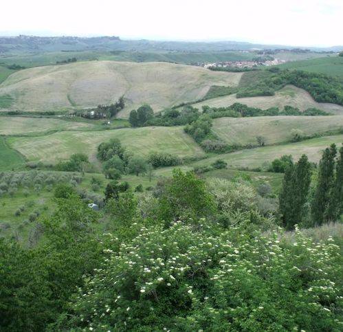 Appartamento a Casciana terme lari - Foto 2