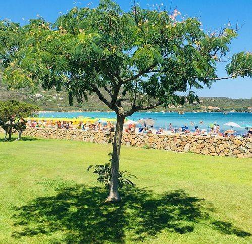 Appartamento a Golfo aranci - Foto 3