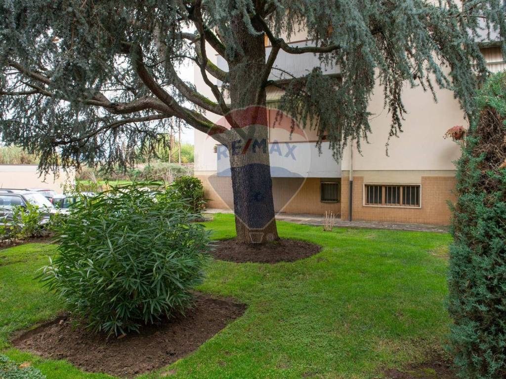 Appartamento a San giovanni valdarno in Via Spartaco Lavagnini, 99 - Foto 3