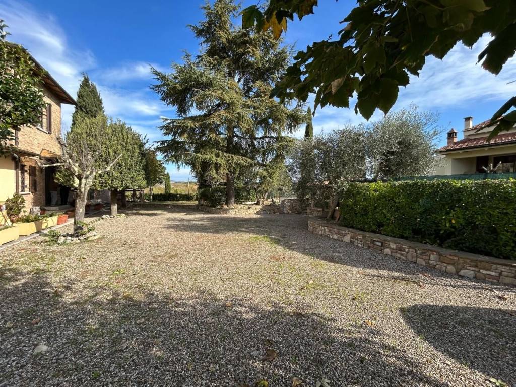 Rustico / casale a Castelnuovo berardenga - Foto 2