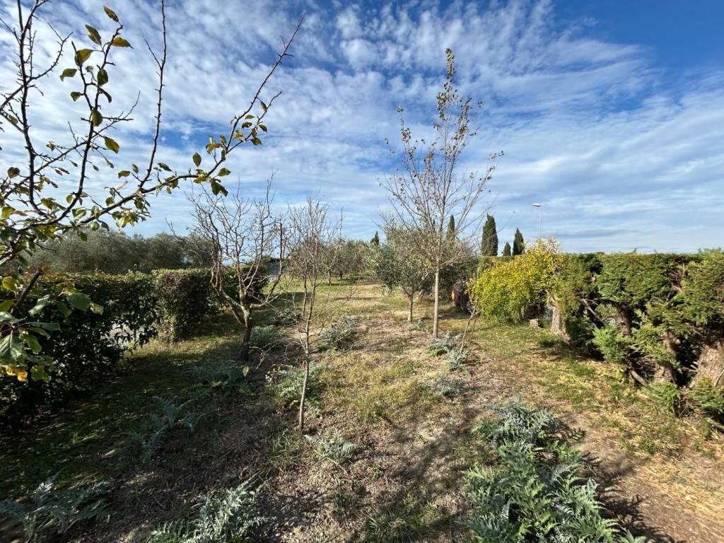 Rustico / casale a Castelnuovo berardenga - Foto 3