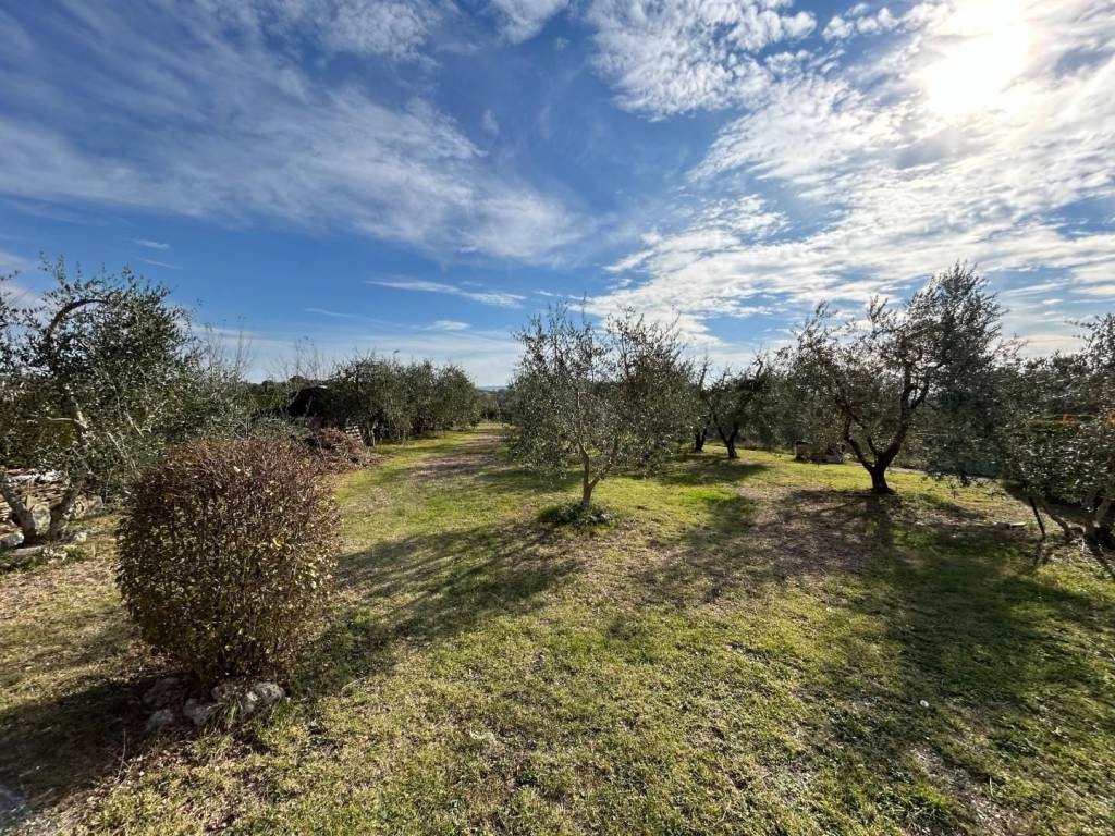 Rustico / casale a Castelnuovo berardenga - Foto 5
