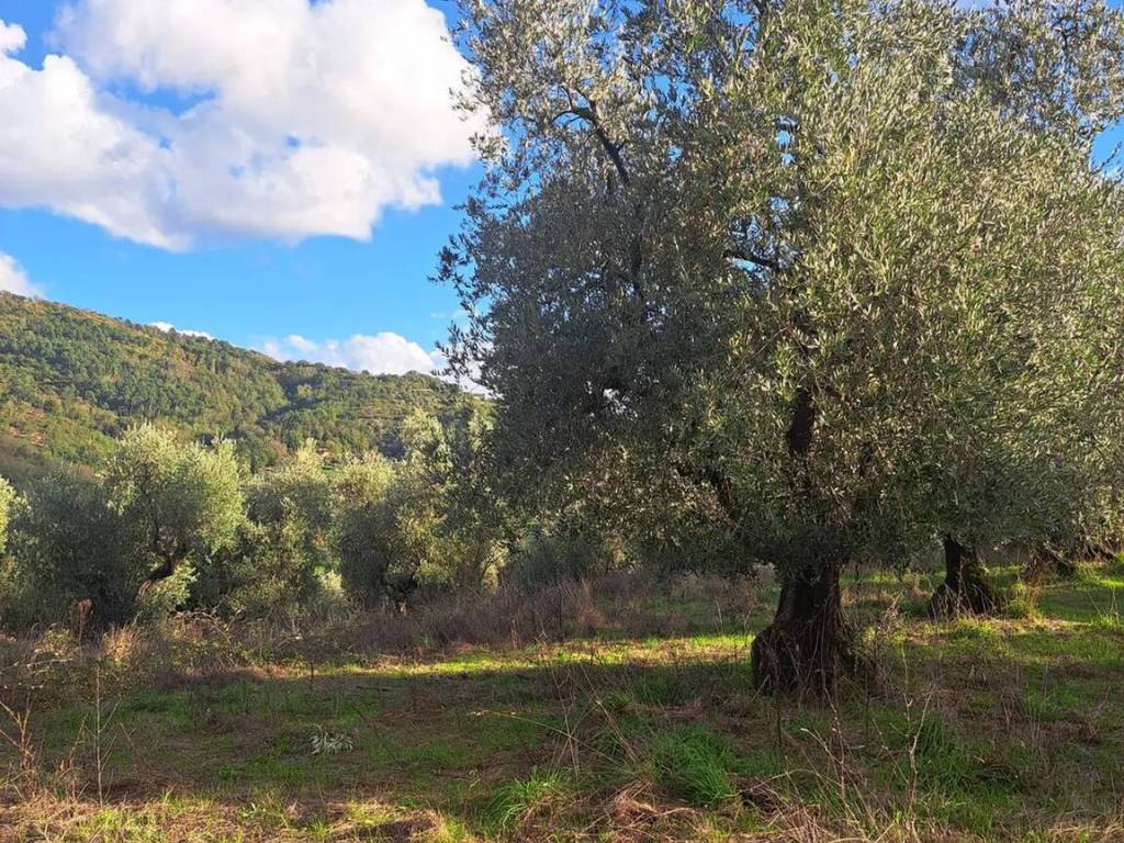 Terreno a Pistoia in Saturnana No Number - Foto 2