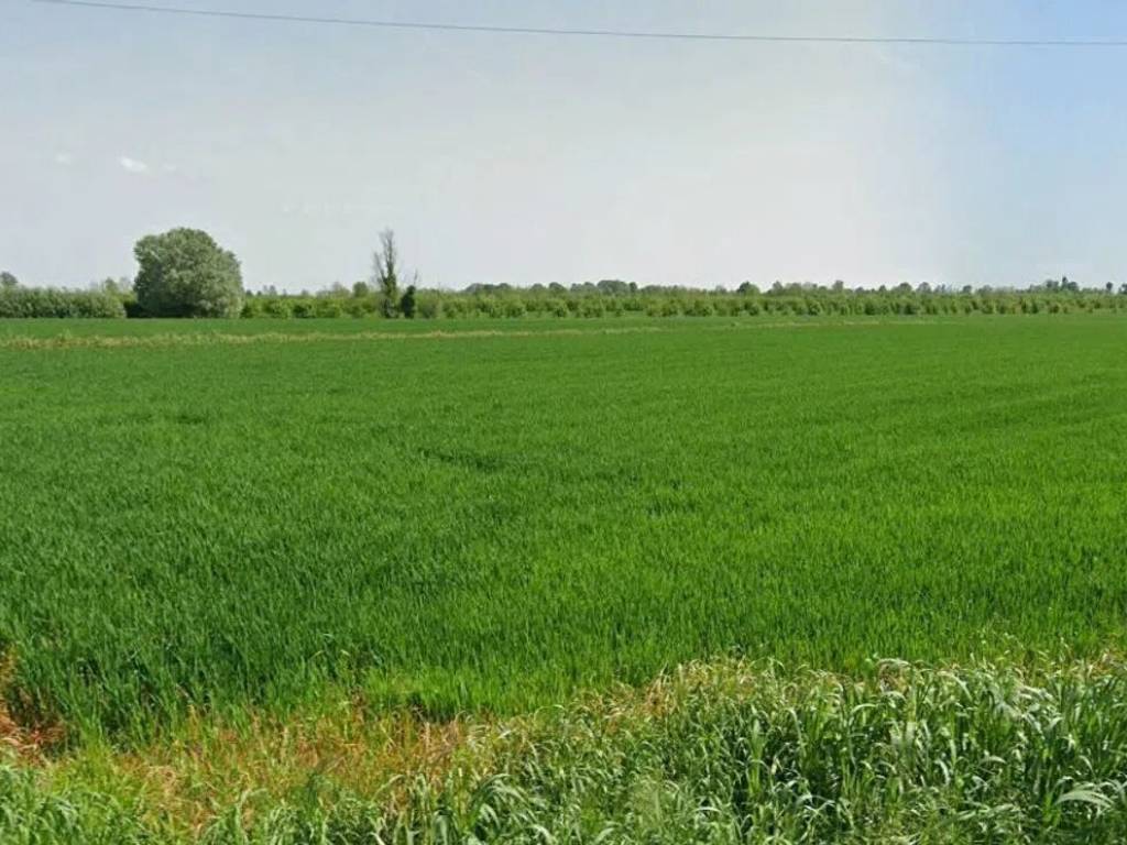 Terreno a Agna in Via Bosco No Number - Foto 5