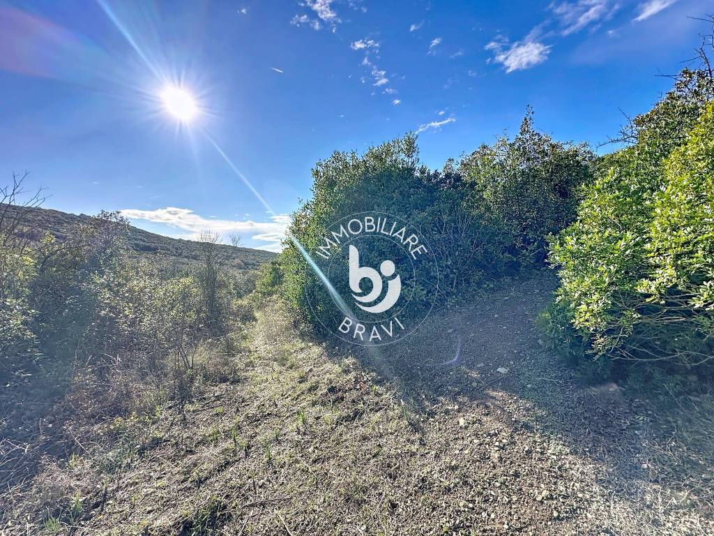 Terreno a Santa marinella in Strada Rimessa della Guardiola - Foto 2