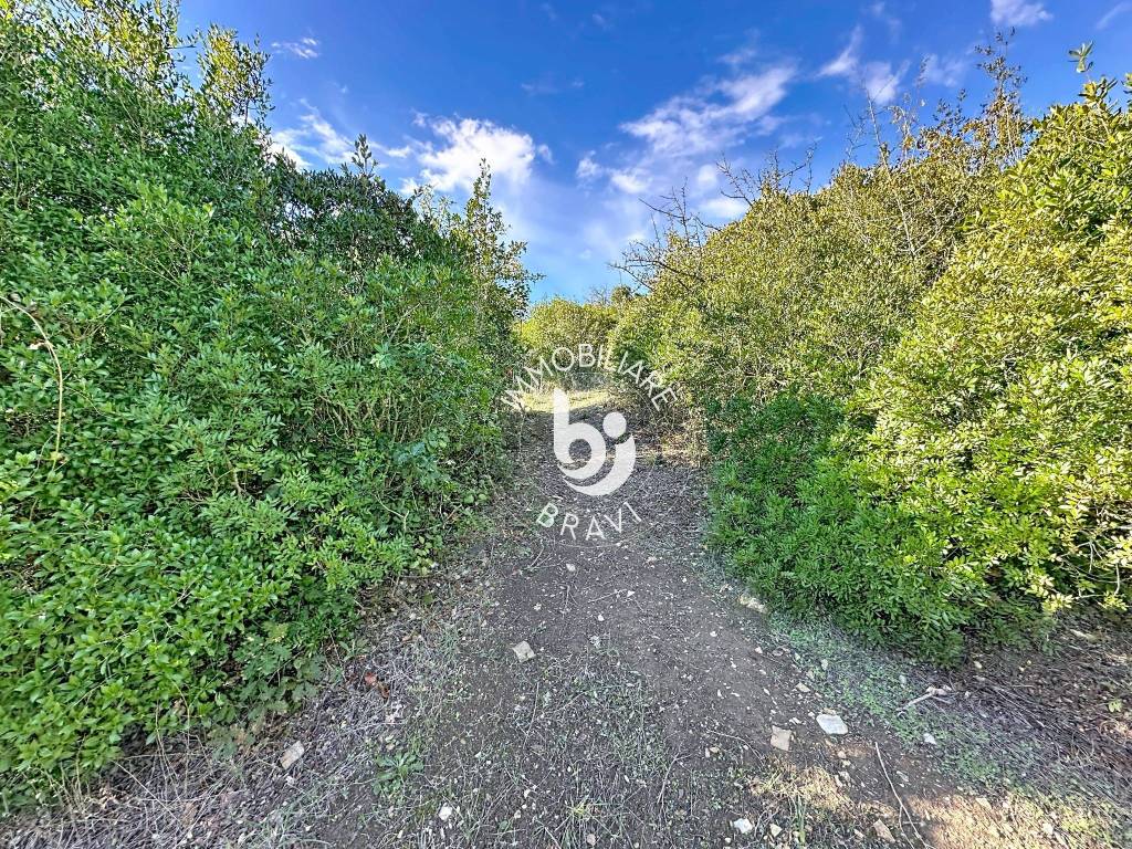 Terreno a Santa marinella in Strada Rimessa della Guardiola - Foto 3