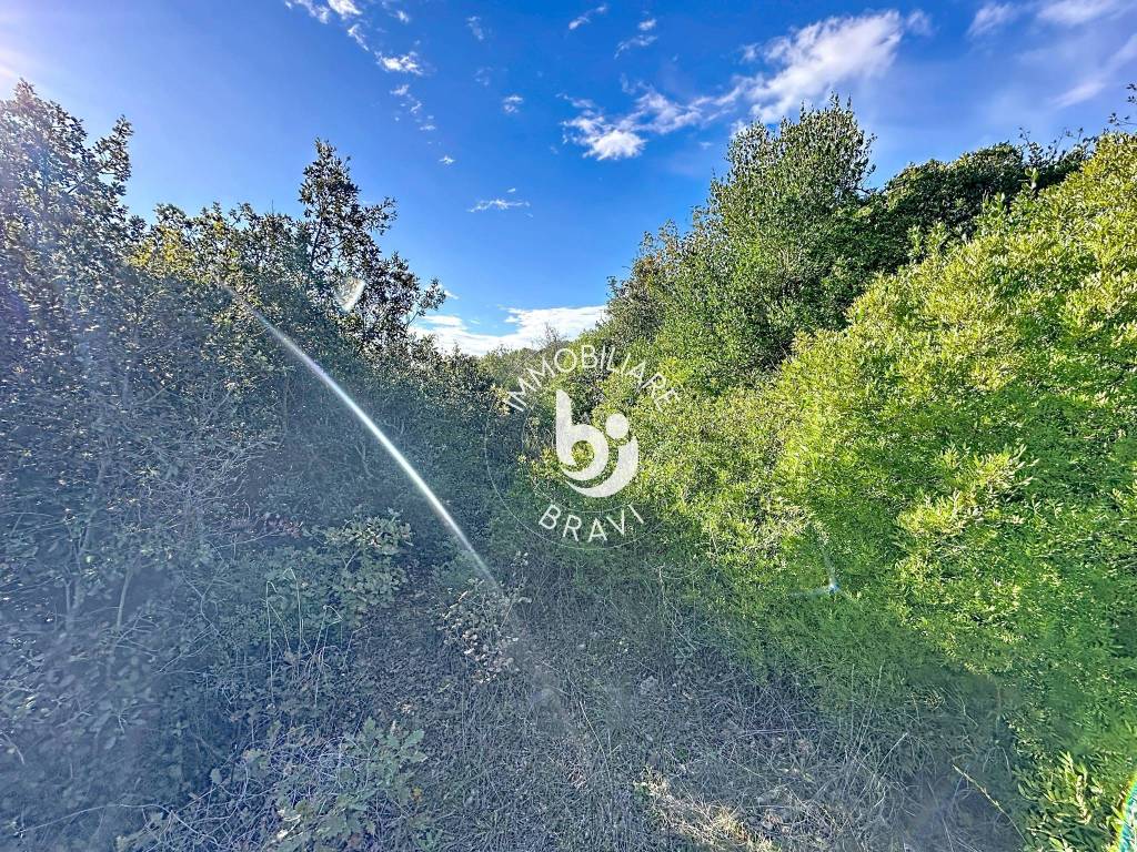 Terreno a Santa marinella in Strada Rimessa della Guardiola - Foto 4