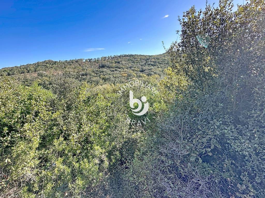 Terreno a Santa marinella in Strada Rimessa della Guardiola - Foto 5
