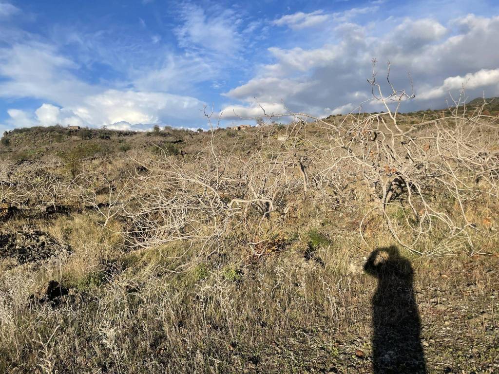 Terreno a Bronte in Contrada Cipollazzo - Foto 3