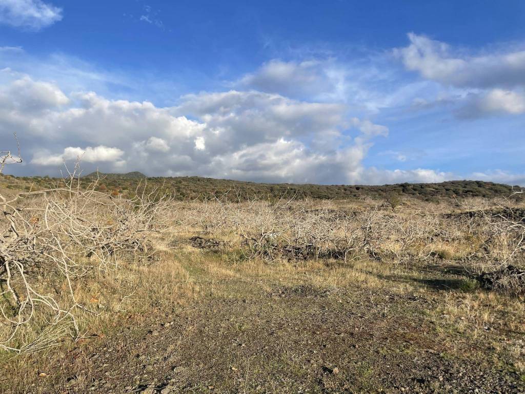 Terreno a Bronte in Contrada Cipollazzo - Foto 4