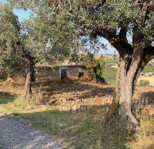 Rustico / casale a Controguerra - Foto 2