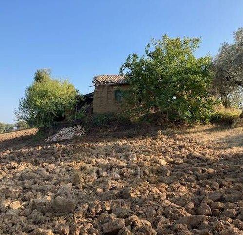 Rustico / casale a Controguerra - Foto 4