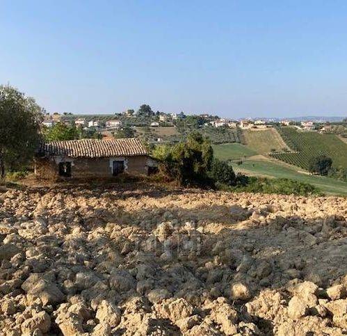 Rustico / casale a Controguerra - Foto 5