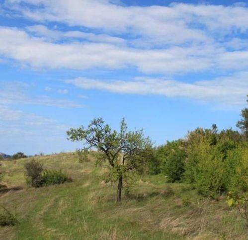 Rustico / casale a Controguerra - Foto 3