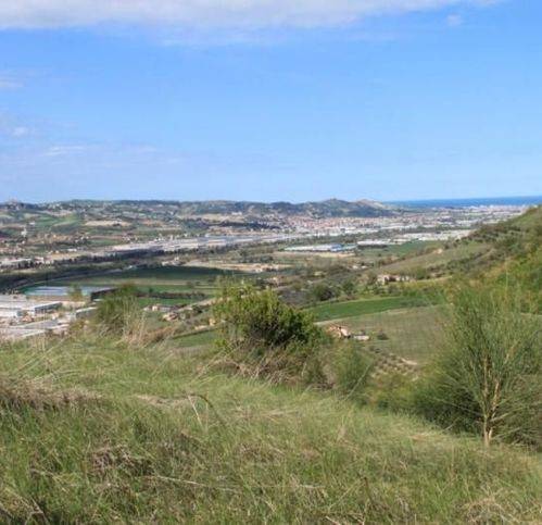 Rustico / casale a Controguerra - Foto 4