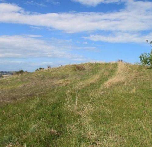 Rustico / casale a Controguerra - Foto 5