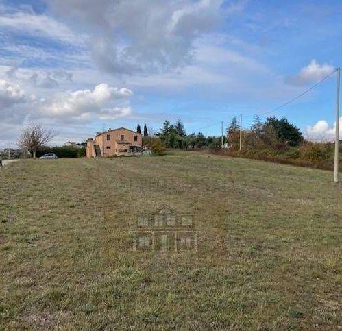 Rustico / casale a Controguerra - Foto 2