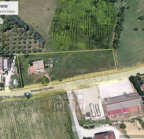 Rustico / casale a Controguerra - Foto 3