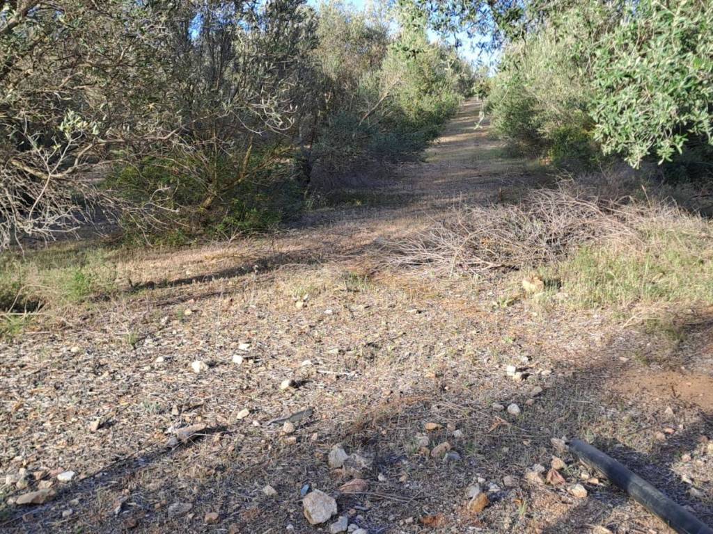 Terreno a Quartucciu in Via dei Gladioli - Foto 5