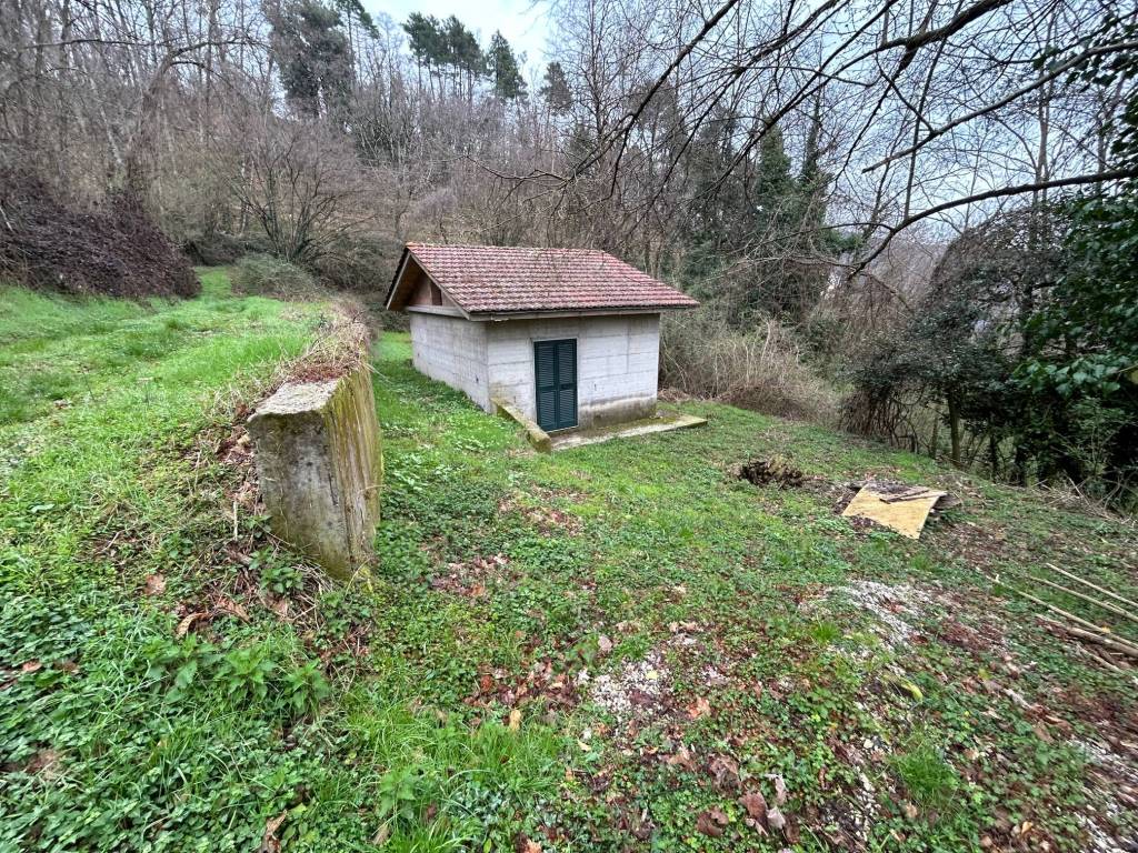 Loft / open space a Marliana in Via per Montagnana - Foto 3