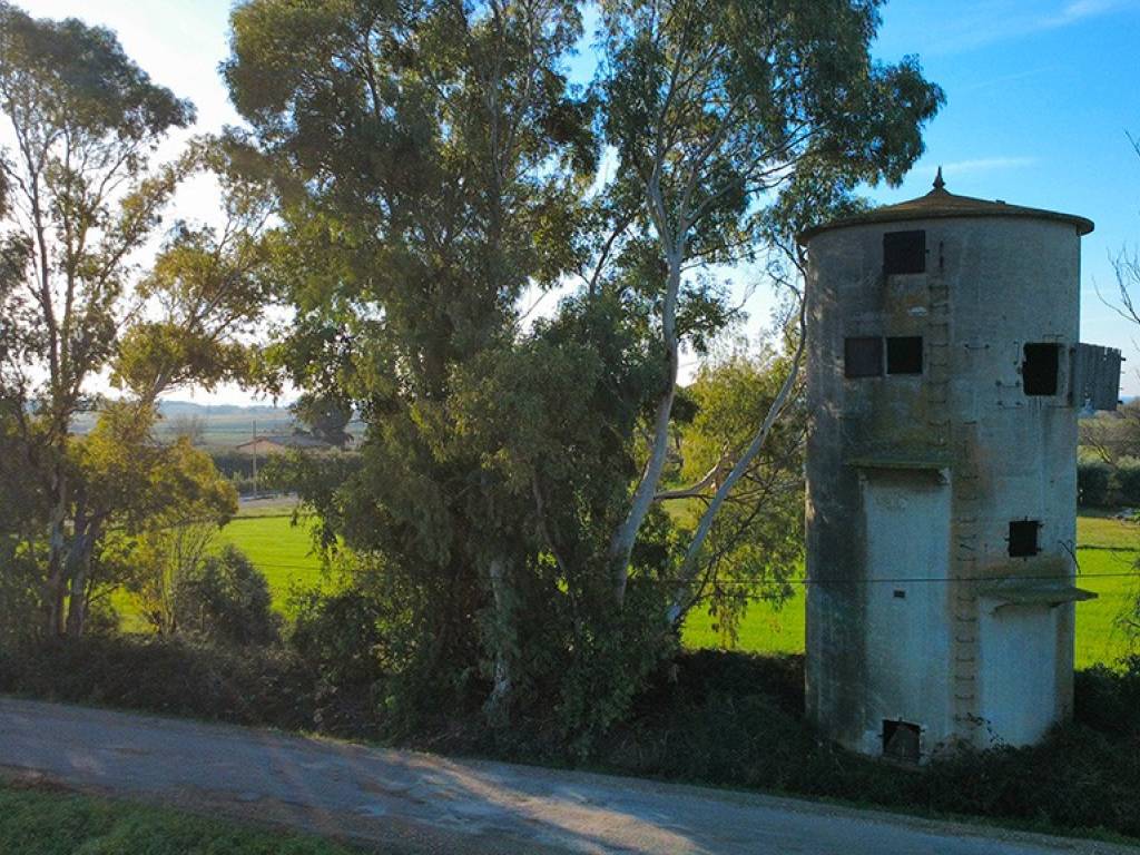Rustico / casale a Montalto di castro in Via della Pace - Foto 2