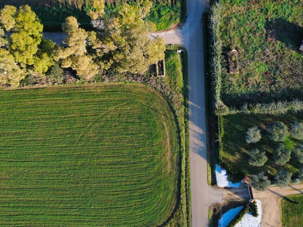 Rustico / casale a Montalto di castro in Via della Pace - Foto 4