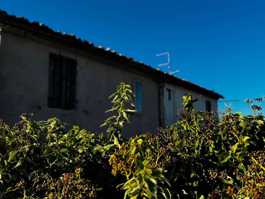 Terreno a San clemente in Via Panoramica, 38 - Foto 3