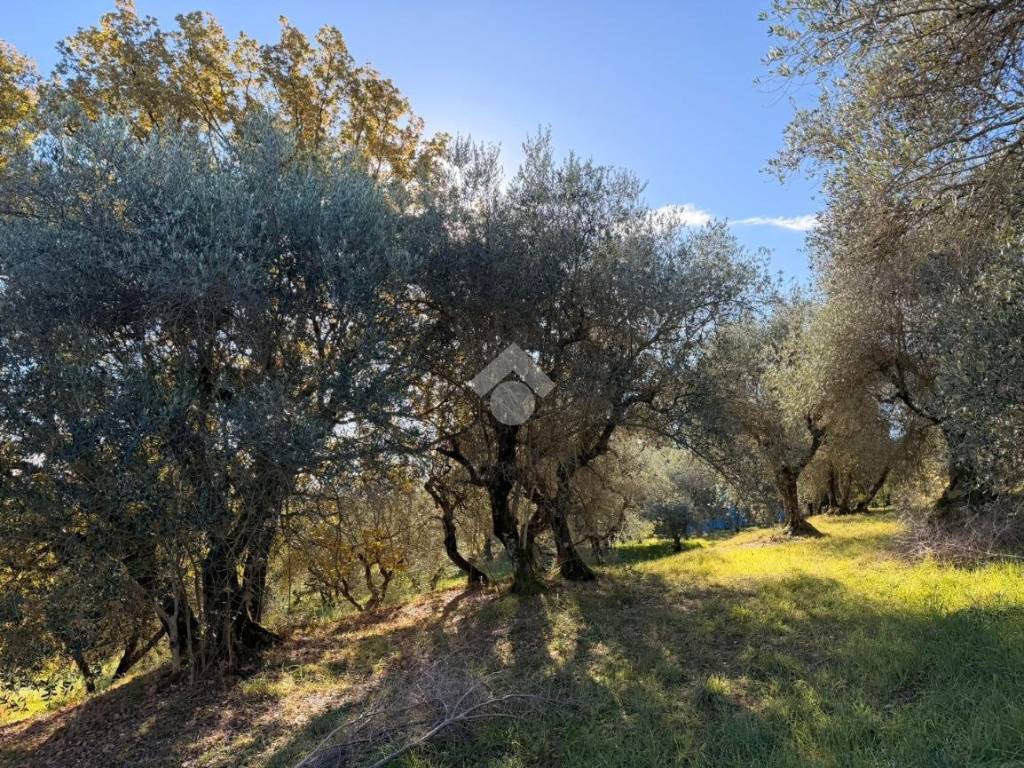 Terreno a Soriano nel cimino in Via Madonna di Loreto - Foto 2