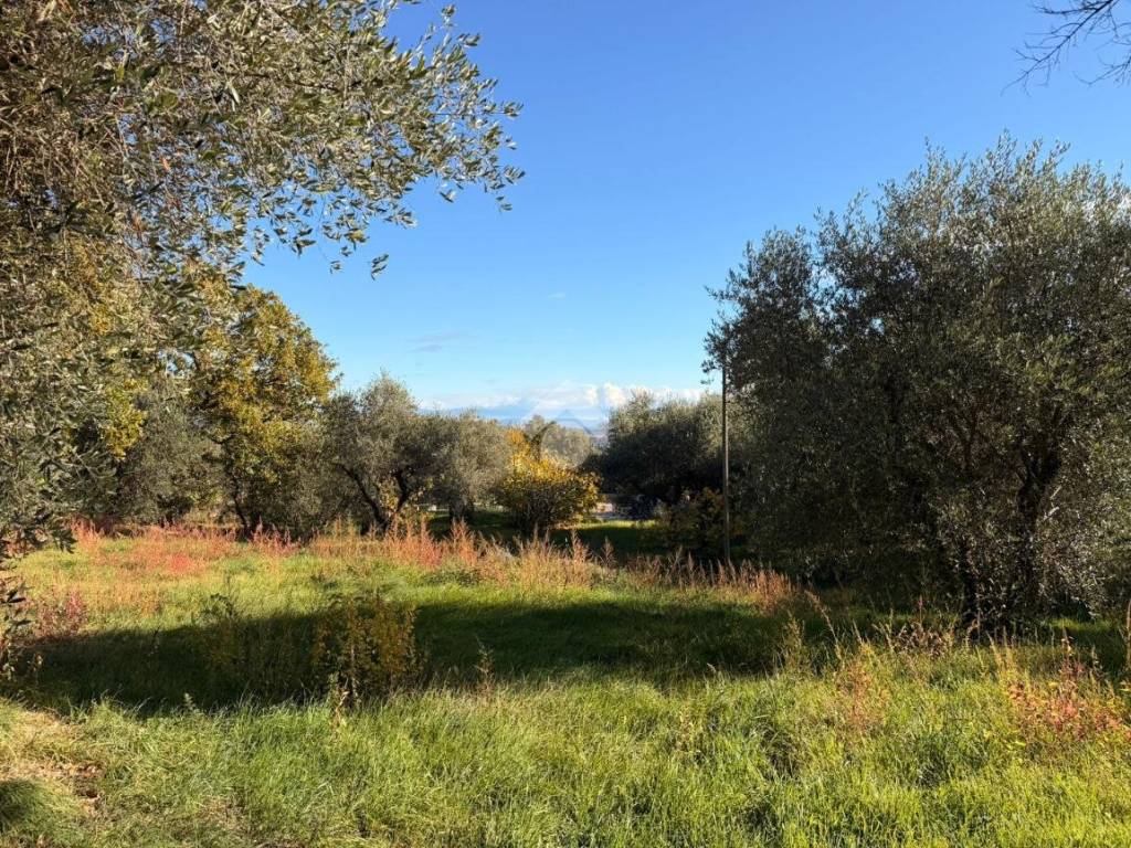 Terreno a Soriano nel cimino in Via Madonna di Loreto - Foto 4