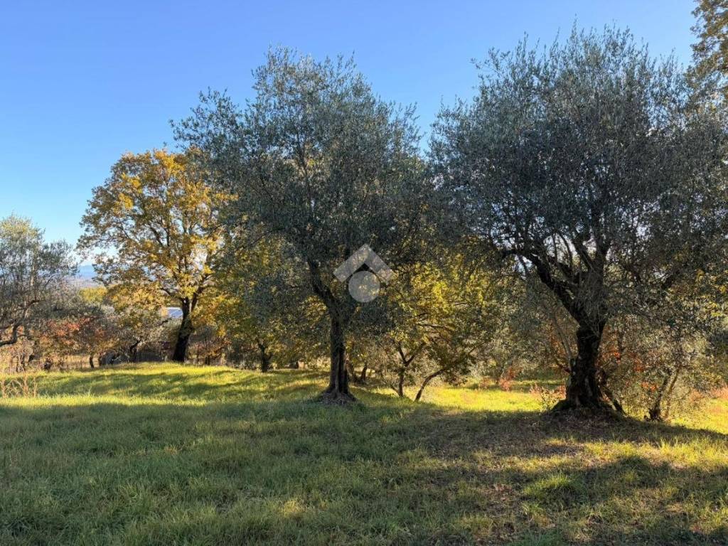 Terreno a Soriano nel cimino in Via Madonna di Loreto - Foto 5