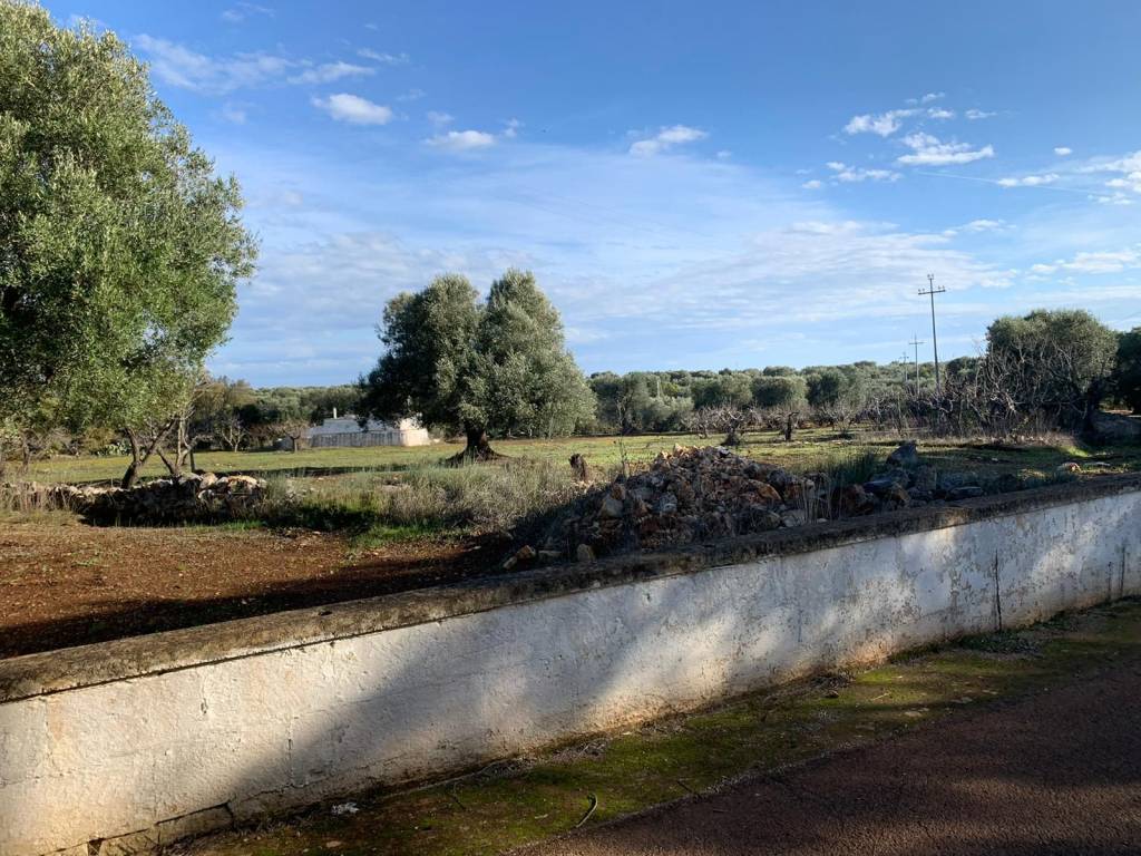 Terreno a Carovigno in SP37 - Foto 5
