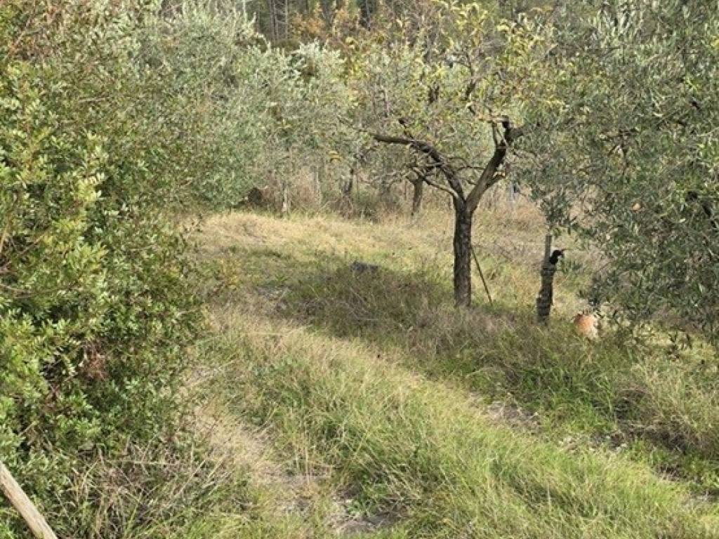 Terreno a Greve in chianti in SP119 - Foto 3