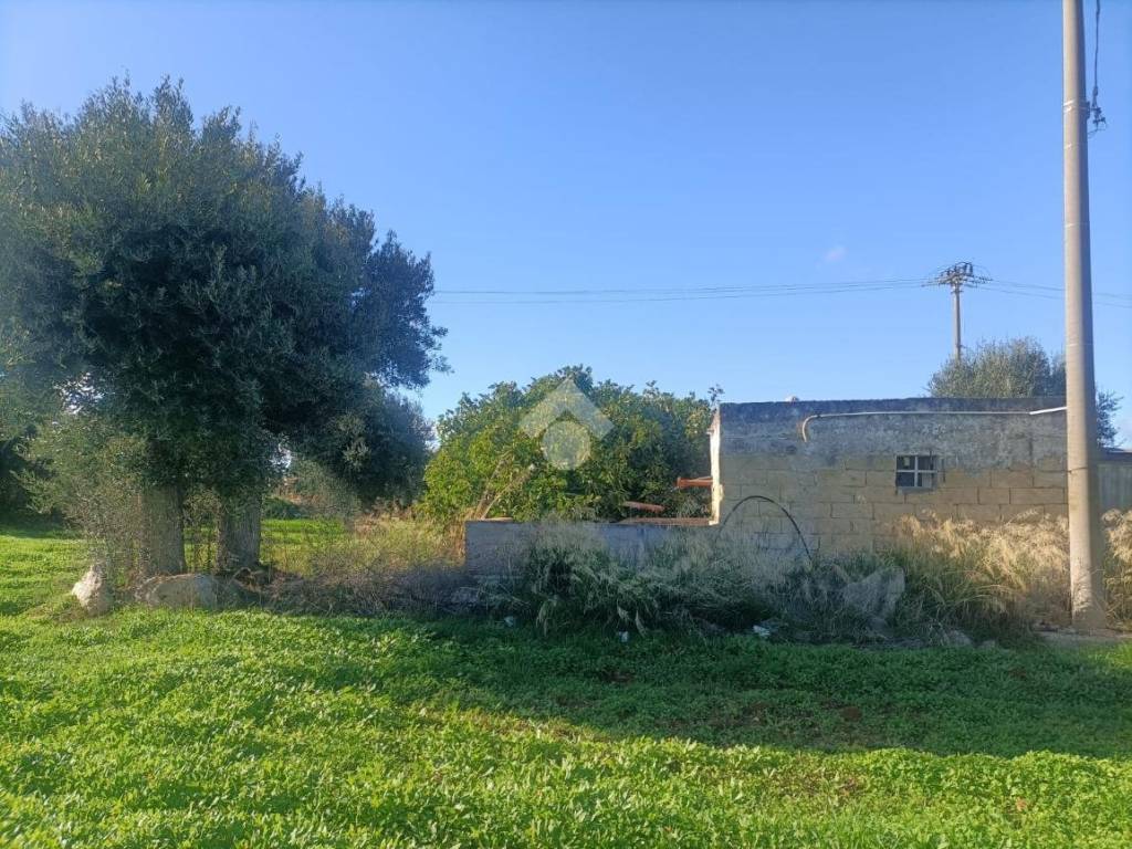 Terreno a Mola di bari in Strada vicinale macinelle - Foto 2