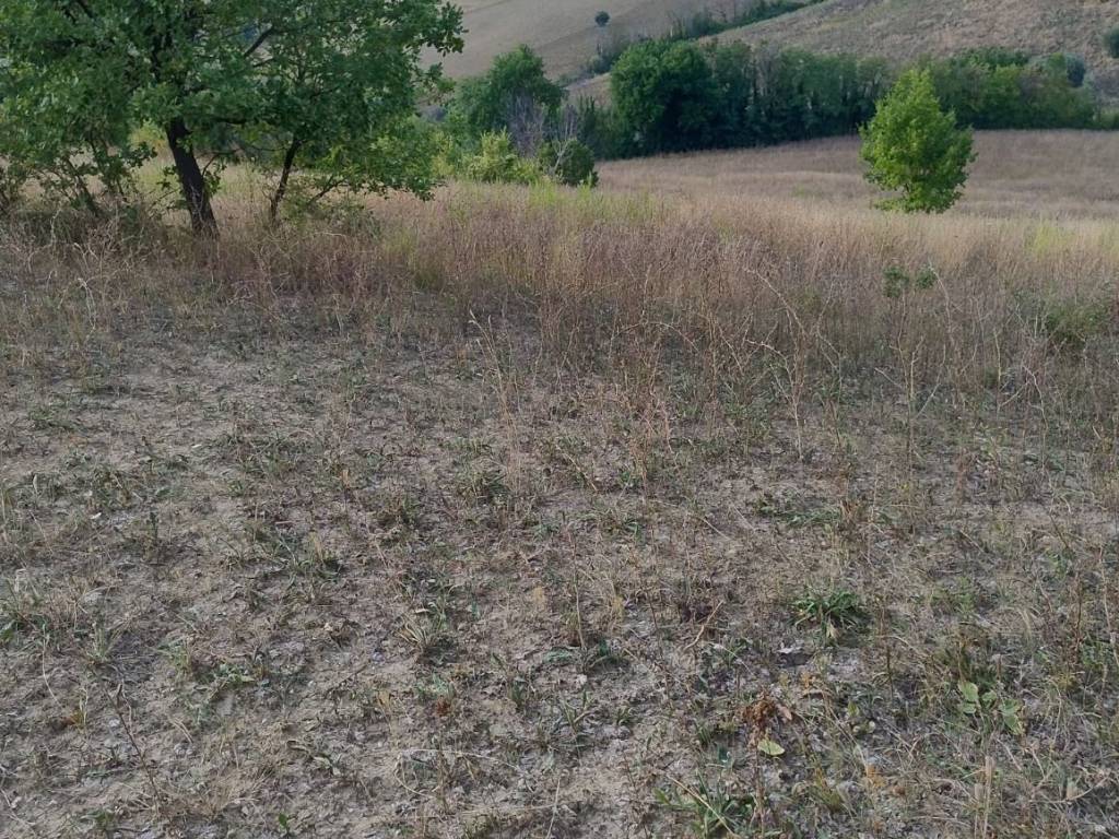Terreno a Pollenza in Contrada Morazzano - Foto 2