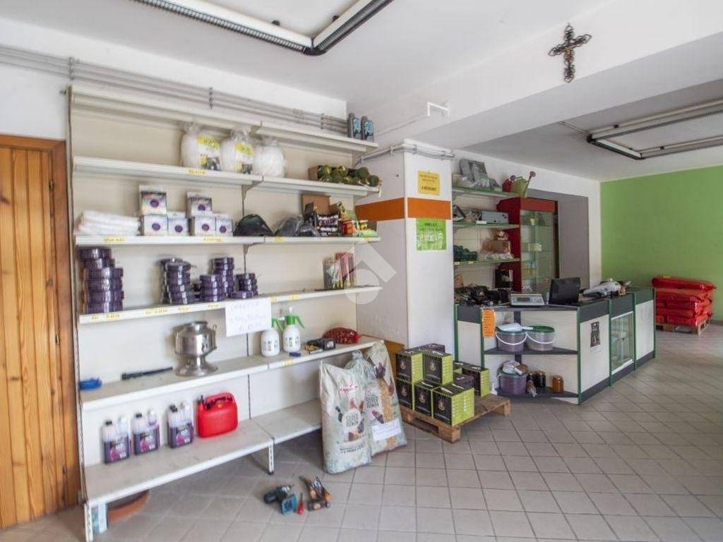Immobile a Borgo velino in Via Gran Sasso, 22 - Foto 3