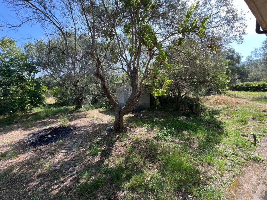 Appartamento a Grisolia in Via Caprio - Foto 2