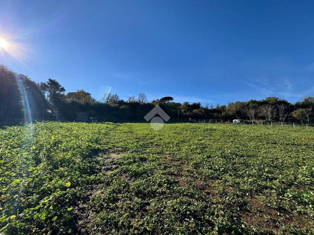 Terreno a Anguillara sabazia in Strada provinciale 11b, 24 - Foto 5