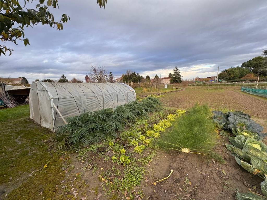 Casa indipendente a Legnago in Via Borghetto - Foto 4